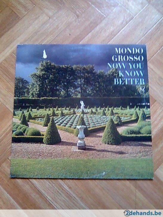 Mondo Grosso:Now You Know Better (12")Deep House, neo soul, Enlèvement ou Envoi
