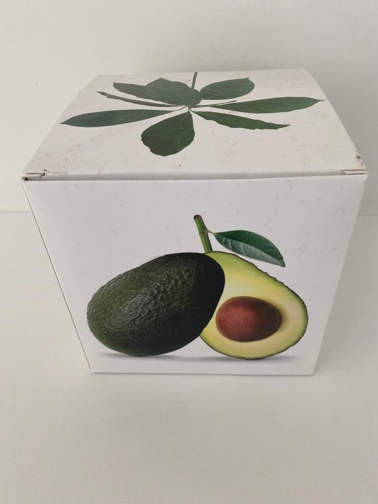 Avocado vase ILEX studio, Ophalen, Nieuw, Overige kleuren, Glas