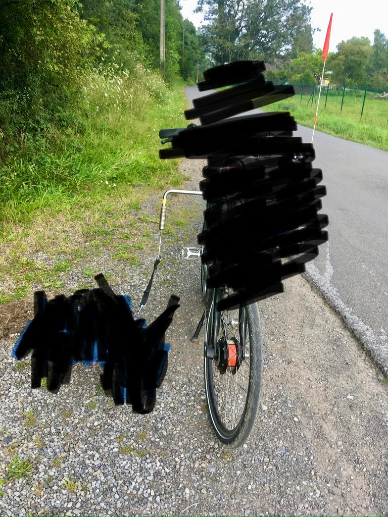 Attache vélo pour promener son chien., Ophalen, Zo goed als nieuw