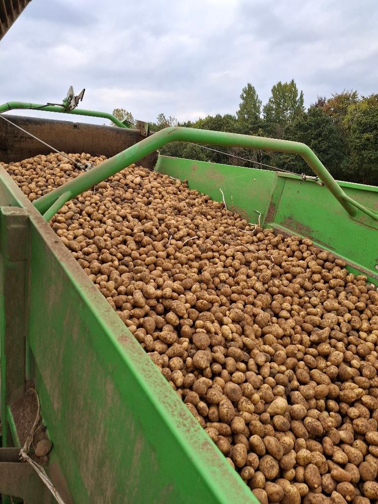 Aardappel bintje, Zakelijke goederen, Ophalen