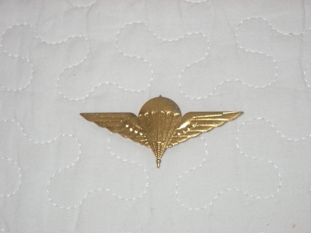 Insigne béret HQ Para laiton doré, Collections, Enlèvement ou Envoi, Armée de terre, Emblème ou Badge