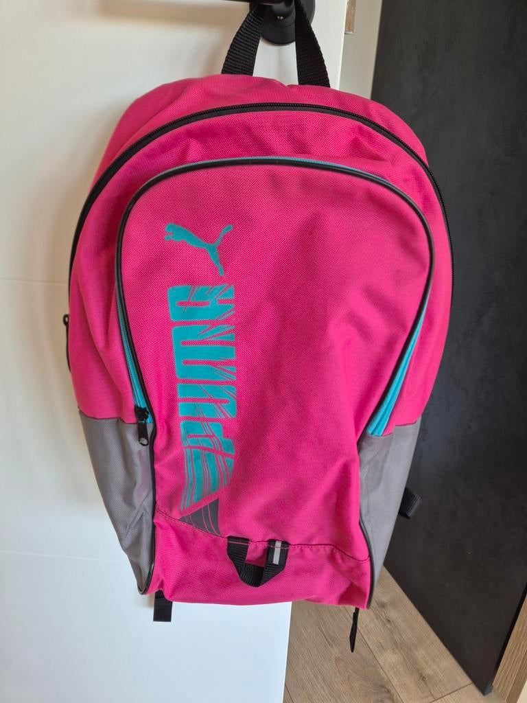 Sac à dos Puma, Enlèvement