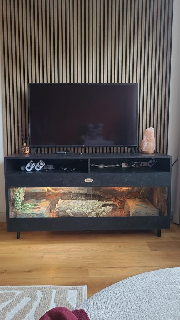 Osb3 terrarium RepHouSZ. Ook maatwerk, Enlèvement, Neuf, Terrarium ou Paludarium