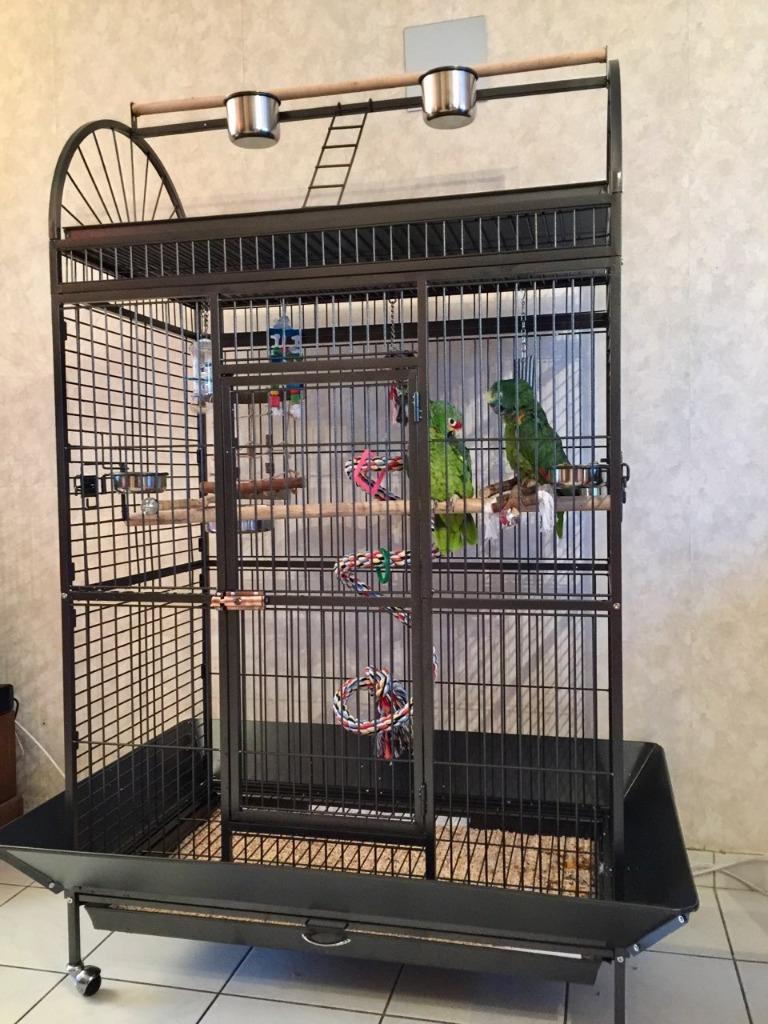 Cage perroquet ARA cage amazone gris gabon cage cacatoes, Envoi, Neuf, Métal, Volière