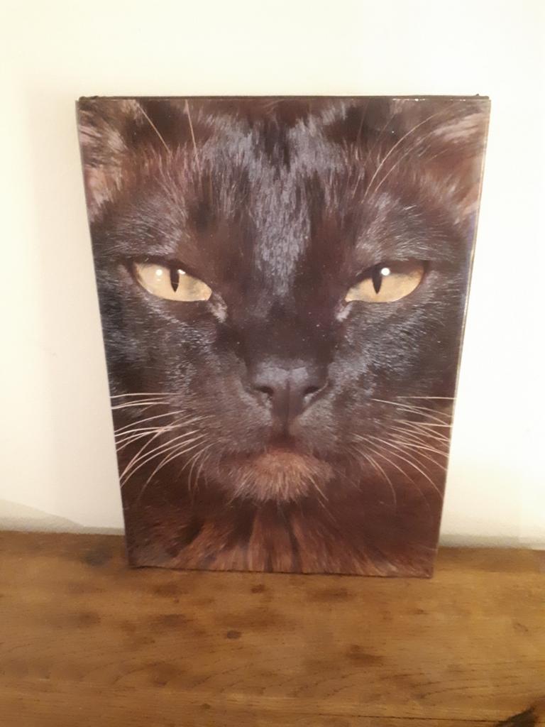 Artis-Historia - Le monde merveilleux des chats, Enlèvement ou Envoi, Utilisé, Chats