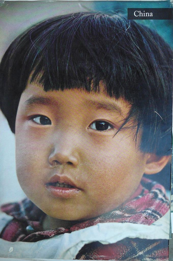 China Artis, Ophalen of Verzenden, Gelezen, Plaatjesalbum
