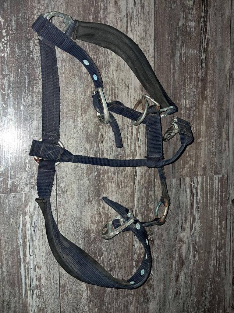 Hoofdstellen en tuigen voor paarden, Ophalen, Gebruikt
