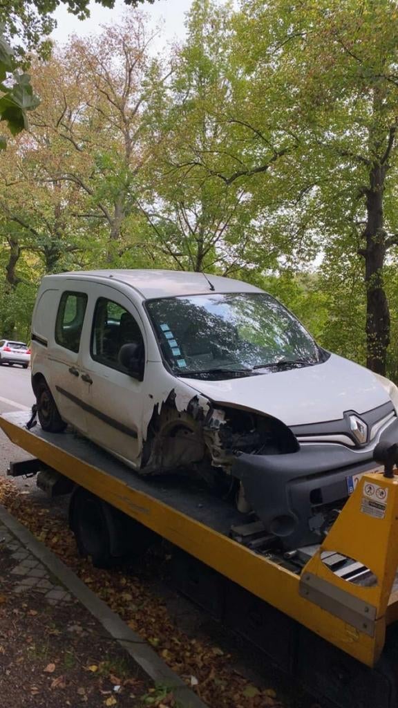Toutes pièces Renault Kangoo, Enlèvement ou Envoi, Renault