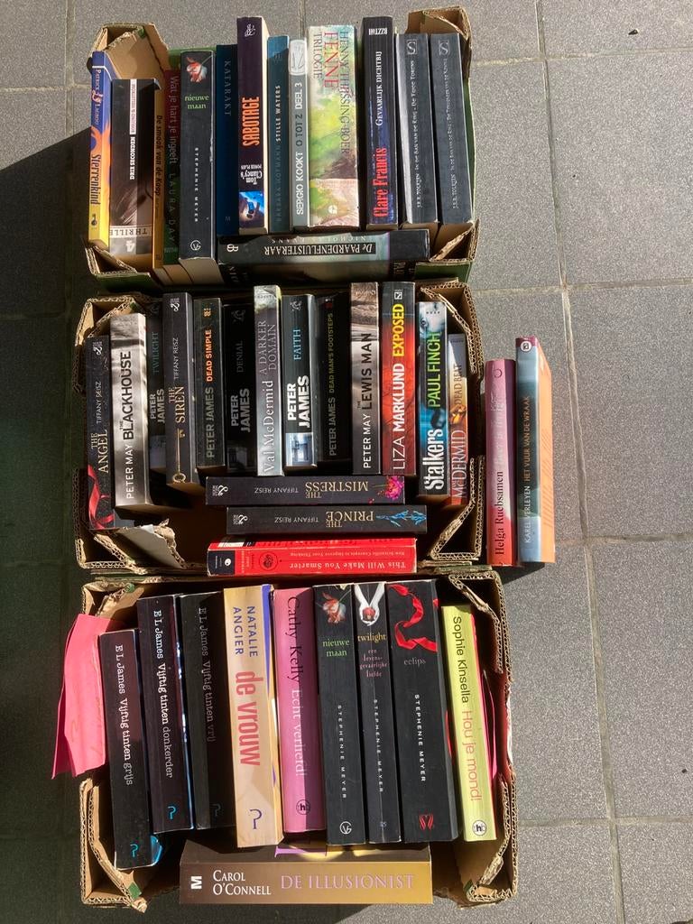 BOEKEN Allerlei Garageverkoop, Enlèvement ou Envoi