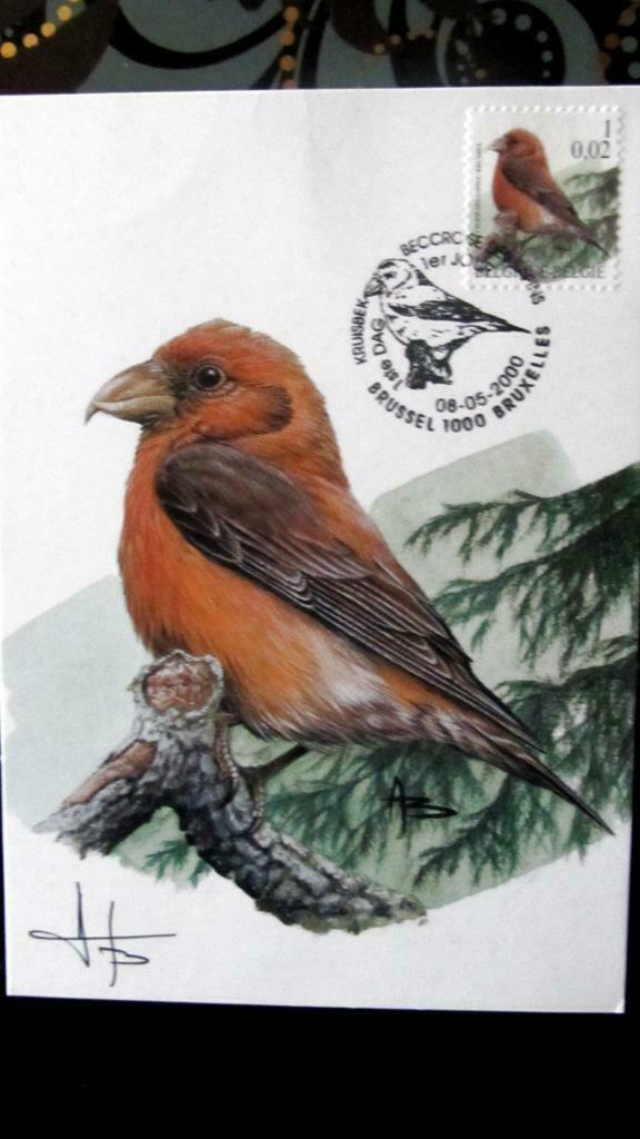 FIRST DAY OP KAART- VOGELS VAN BUZIN- DE KRUISBEK, Enlèvement ou Envoi, Affranchi, Animal et Nature