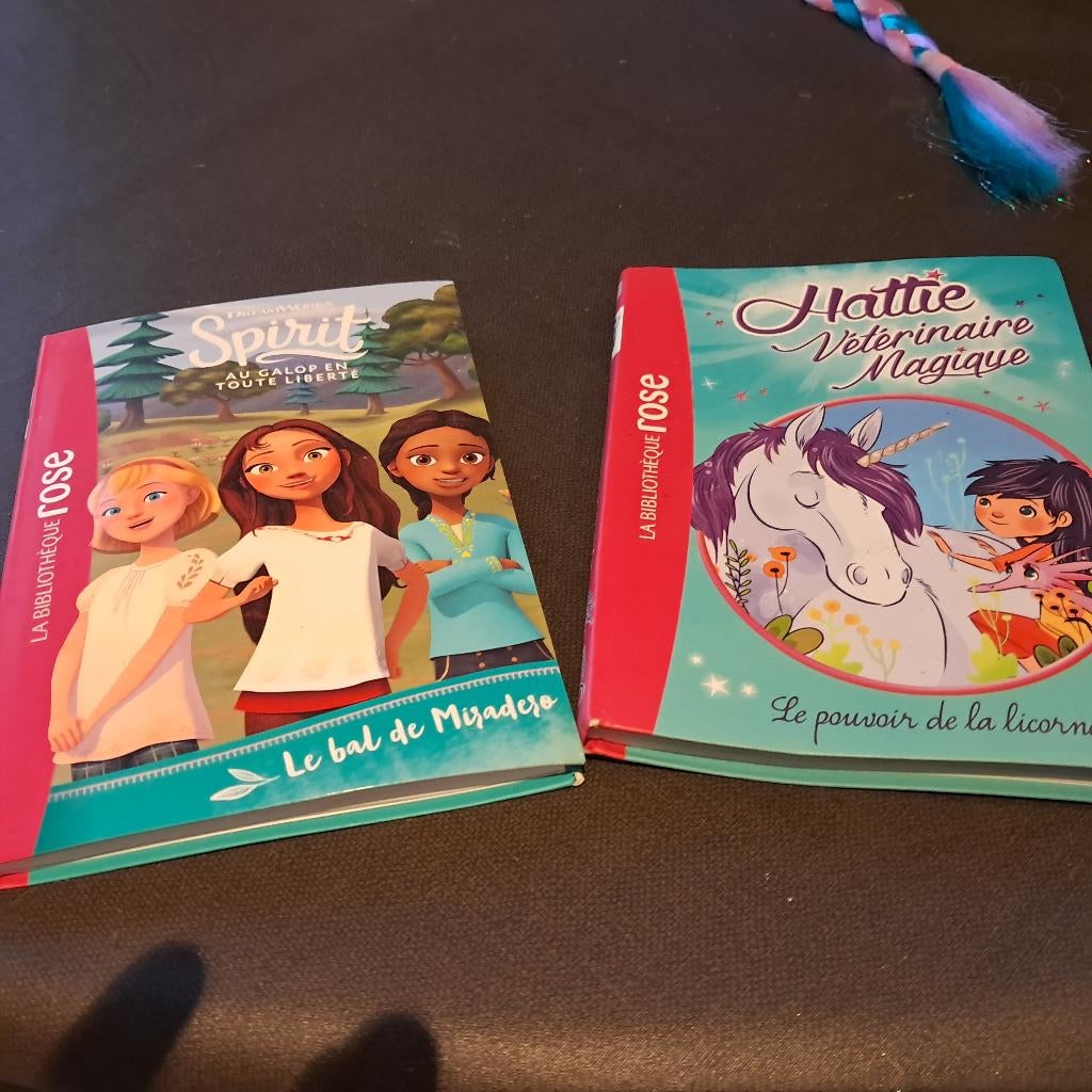 Livre chevaux  8 a 10 ans, Livres, Enlèvement, Utilisé