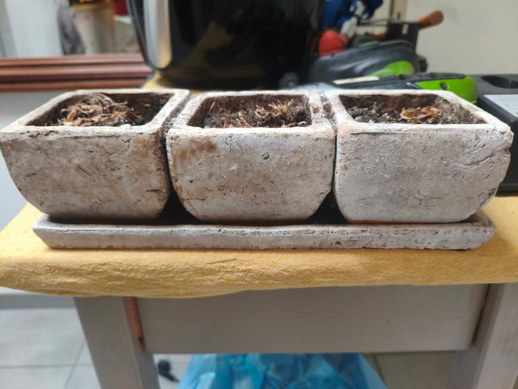 plantenpot gratis ophalen, Tuin en Terras, Bloempotten, Ophalen of Verzenden