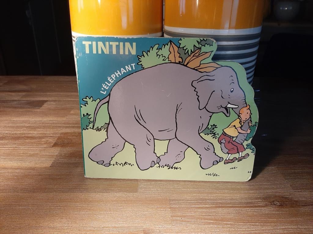 Livre Tintin, Enlèvement ou Envoi, Tintin, Utilisé
