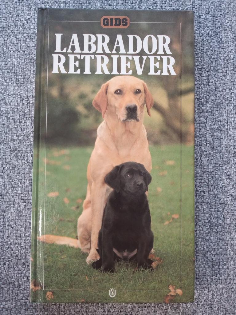Labrador retriever, Ophalen of Verzenden, Zo goed als nieuw