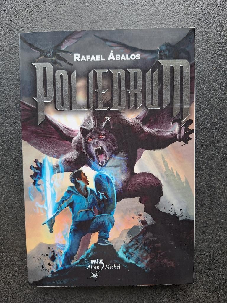 Poliedrum - Rafael Abalos, Enlèvement ou Envoi, Comme neuf, Rafael Abalos