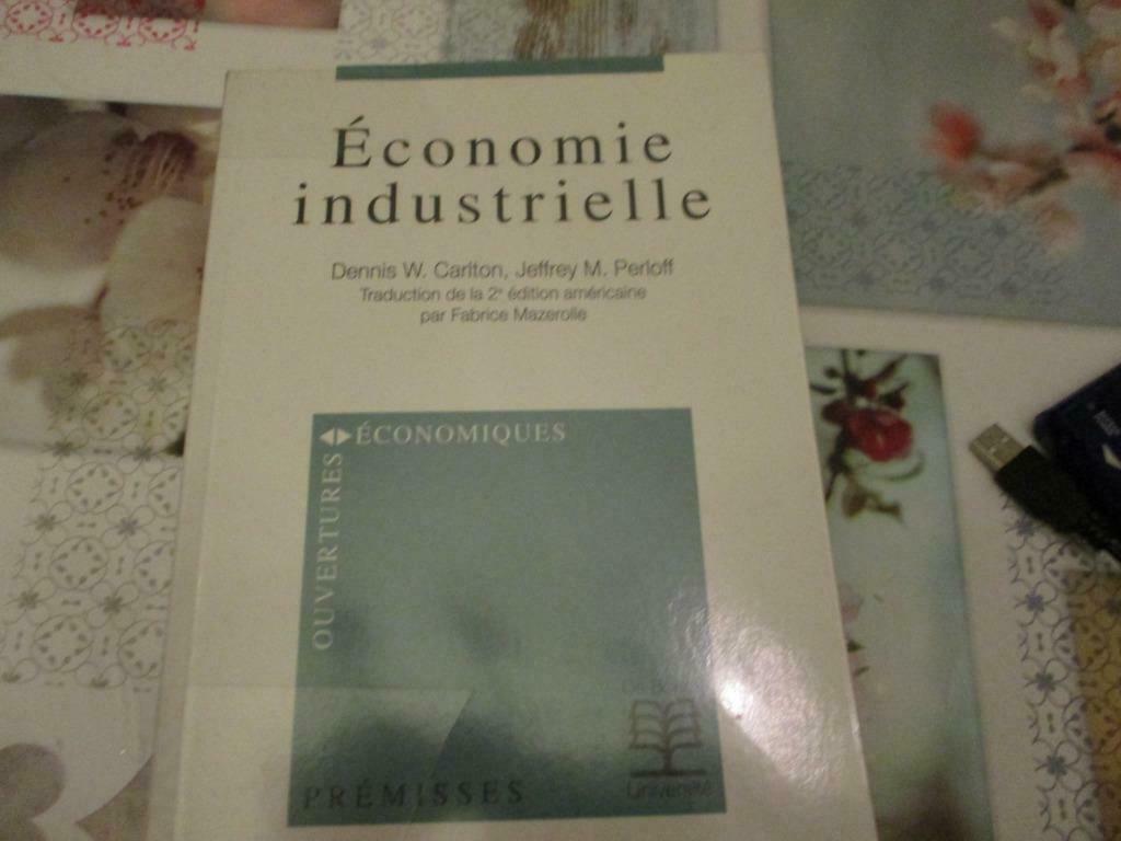 ECONOMIE INDUSTRIELLE. D.W. CARLTON - J.M. PERLOFF, Ophalen of Verzenden, Zo goed als nieuw, Economie en Marketing