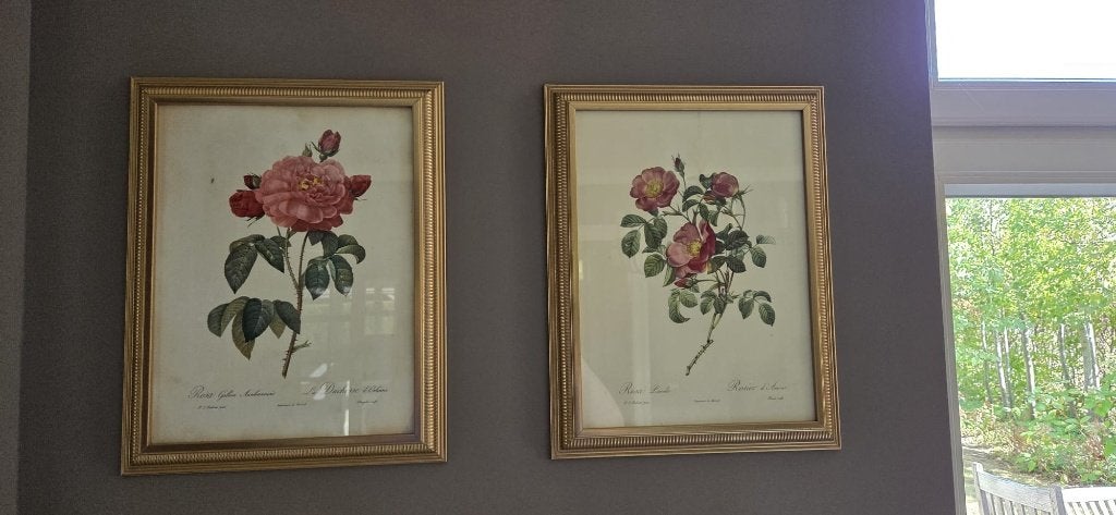 4x prent met bloemen JP Redoute, Ophalen, Prent