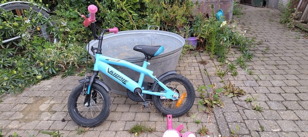 kinderfiets, Ophalen, Terugtraprem, Zijwieltjes, Gebruikt