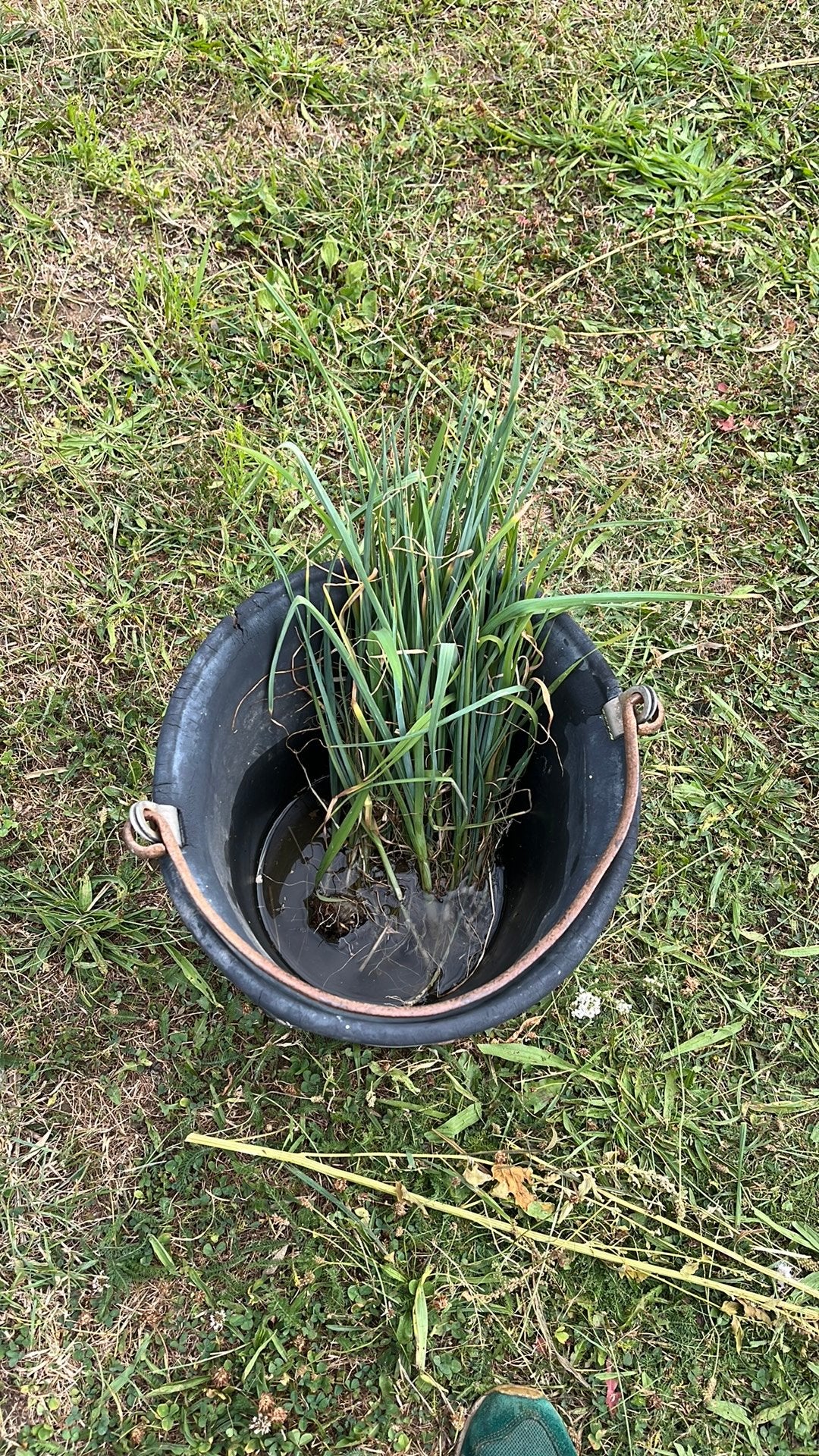 Preiplanten, Ophalen