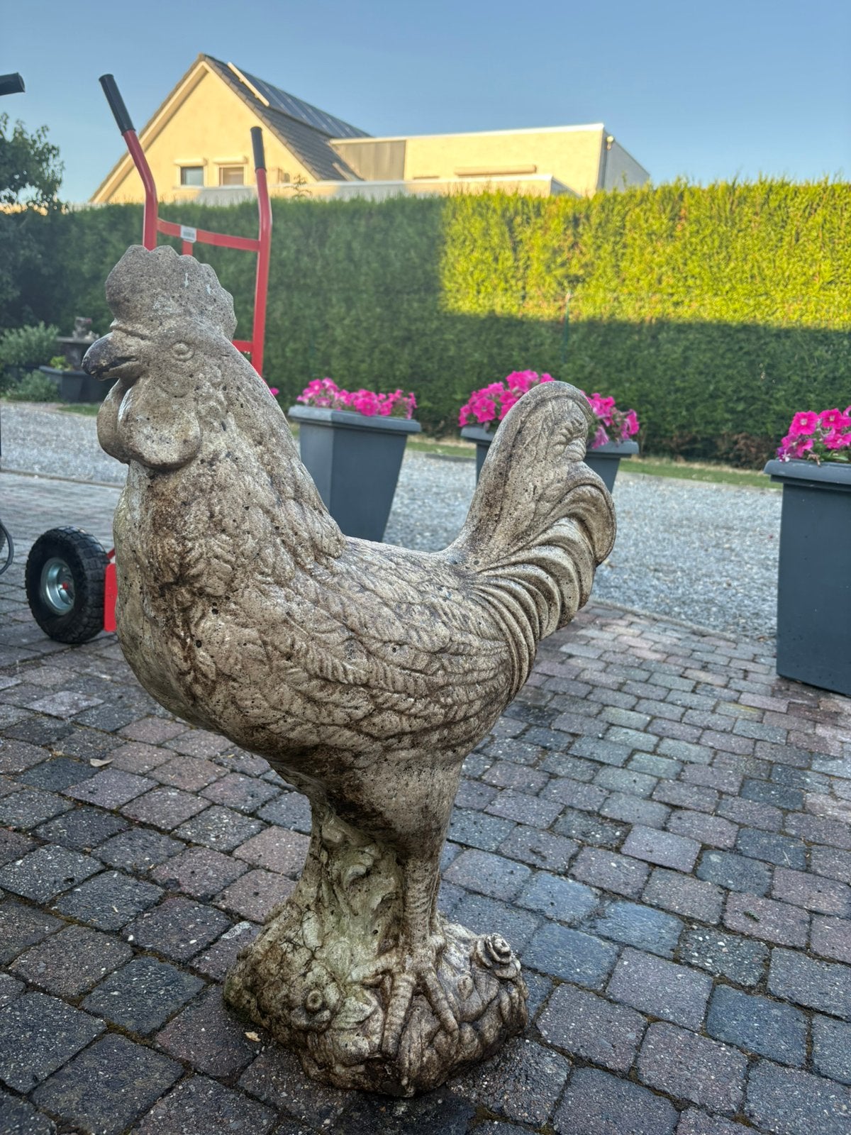 Betonnen kip, Tuin en Terras, Tuinbeelden, Ophalen of Verzenden, Zo goed als nieuw, Beton