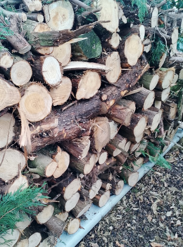 Bois de chauffage, bois de chauffage, bûches, bois de chauff, Enlèvement, Troncs d'arbres