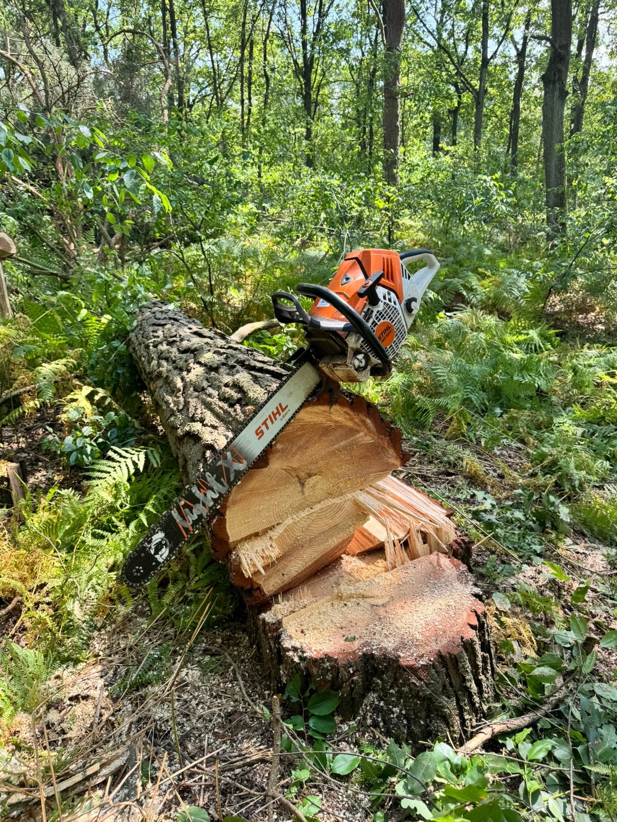 Verwijderen van bomen, snoeien, stormschade,…, Ophalen