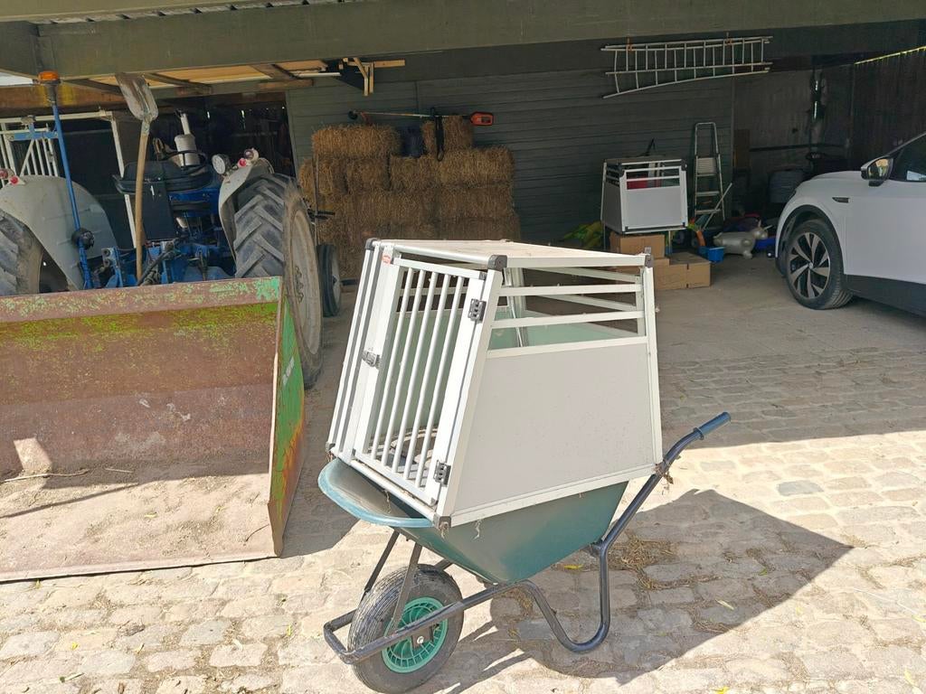 Bench hond auto, Dieren en Toebehoren, Ophalen