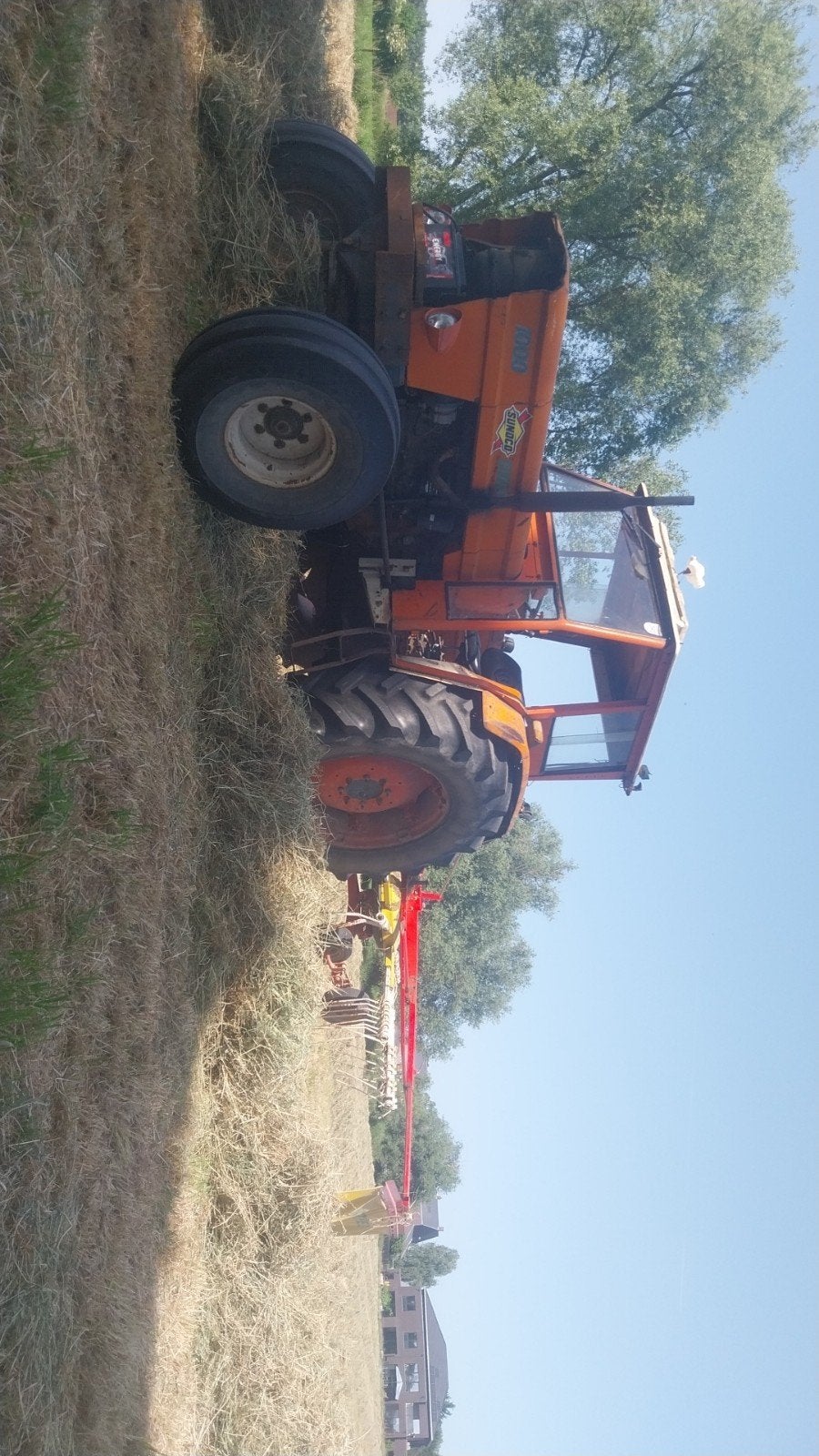 tracteur fiat 1000, Enlèvement, Cultures, Agricole
