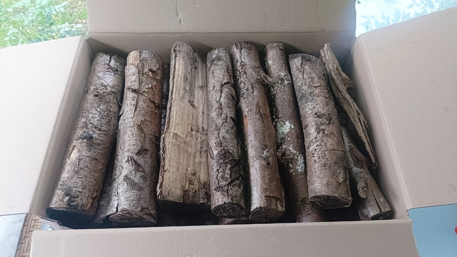 Haardhout Elzen, in handige dozen 10kg, Tuin en Terras, Minder dan 3 m³, Ophalen, Elzenhout, Blokken