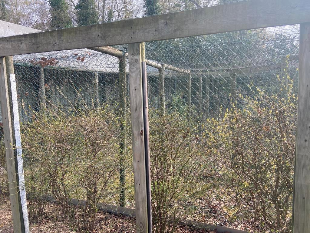 Volieres af te breken en mee te nemen. Bekaertdraad., Tuin en Terras, Ophalen, Gebruikt, Hout