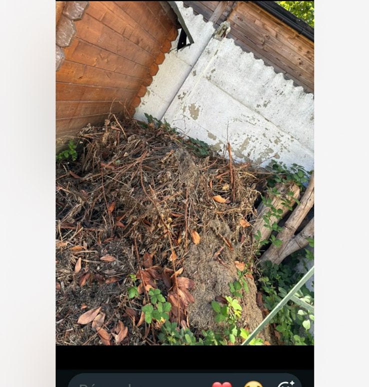 Ramassage de feuilles & entretien de jardin, Enlèvement