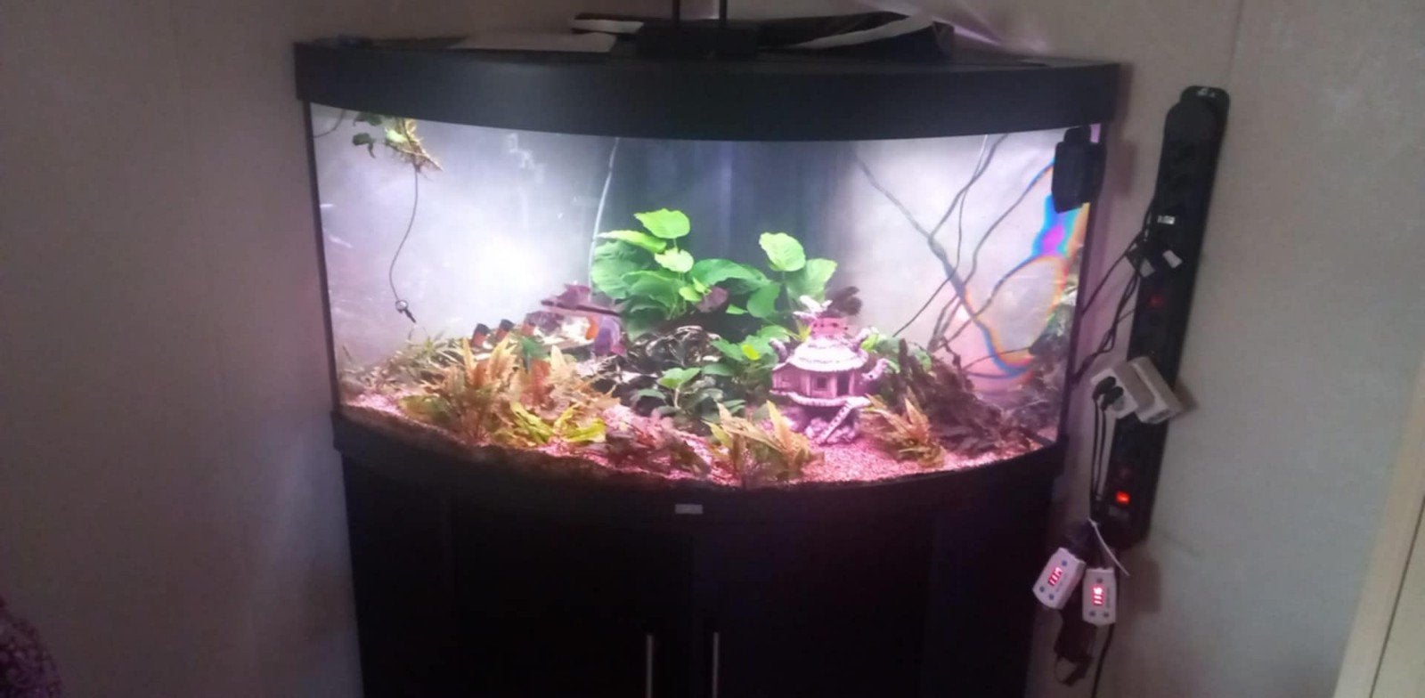 Juwel Trigon 350L, Dieren en Toebehoren, Ophalen, Gebruikt, Leeg aquarium, Verwarming