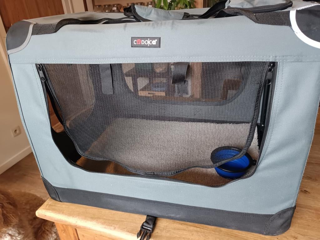Banc de transport pour chien gris, Enlèvement