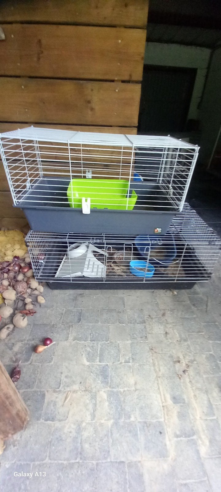 Lot cage à lapin, Cage, Lapin
