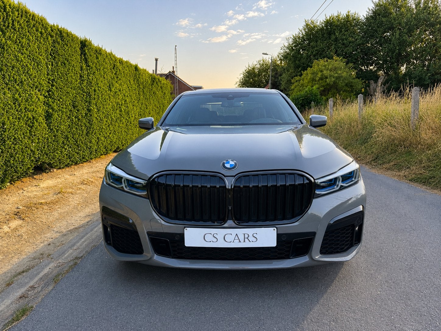 Bmw 745e | 394pk | Pano | Laser | H&K | 135.000km | 1ste eig, Auto's, BMW, Automaat, 4 deurs, Euro 6, 2993 cc