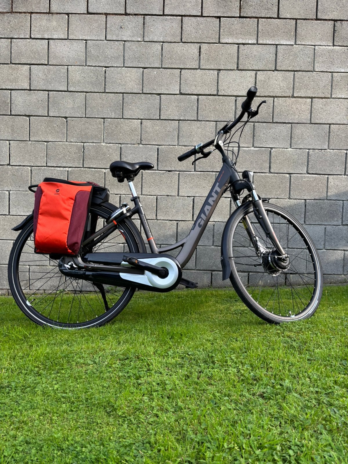 Prachtige elektrische fiets Giant, Ophalen of Verzenden, Zo goed als nieuw, Giant