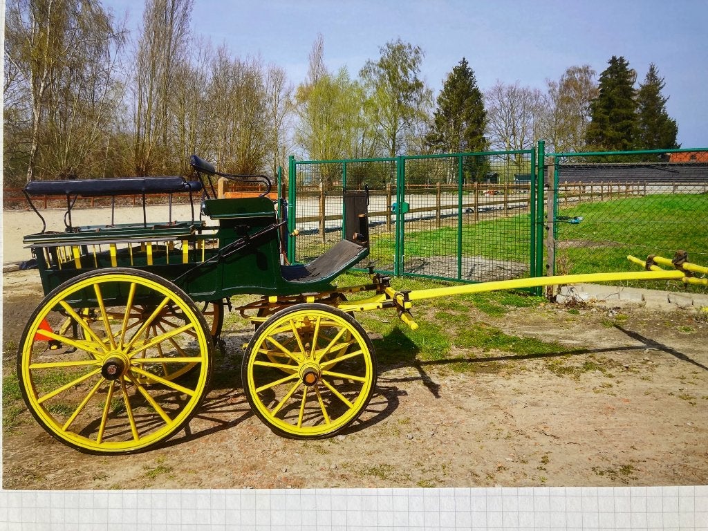 antieke koets, Zo goed als nieuw, Overige typen, Pony
