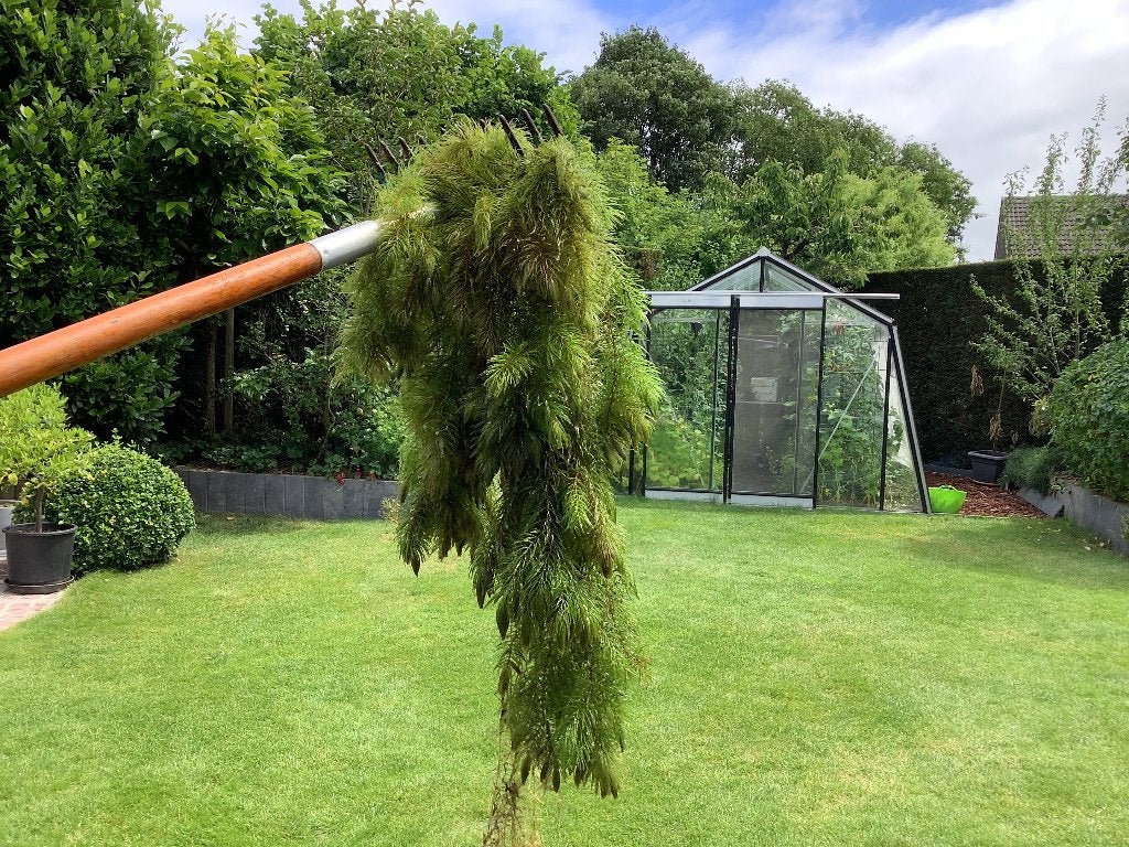Vijverplanten, Tuin en Terras, Ophalen