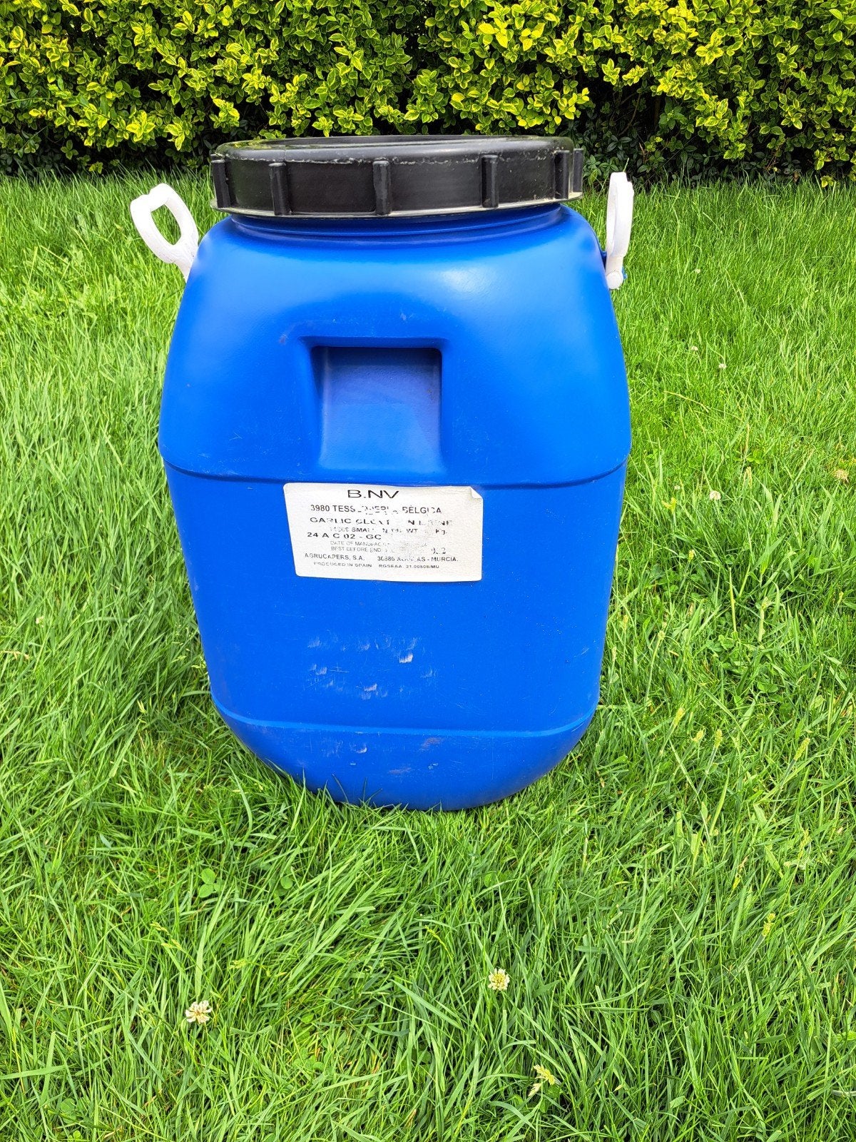 Ton bleu, Jardin & Terrasse, Barils de pluie, Utilisé, Synthétique, Moins de 75 litres, Enlèvement