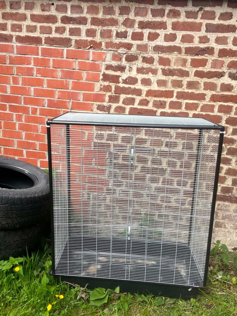 Cages, Animaux & Accessoires, 90 cm ou plus, 75 à 110 cm, Cage, Enlèvement