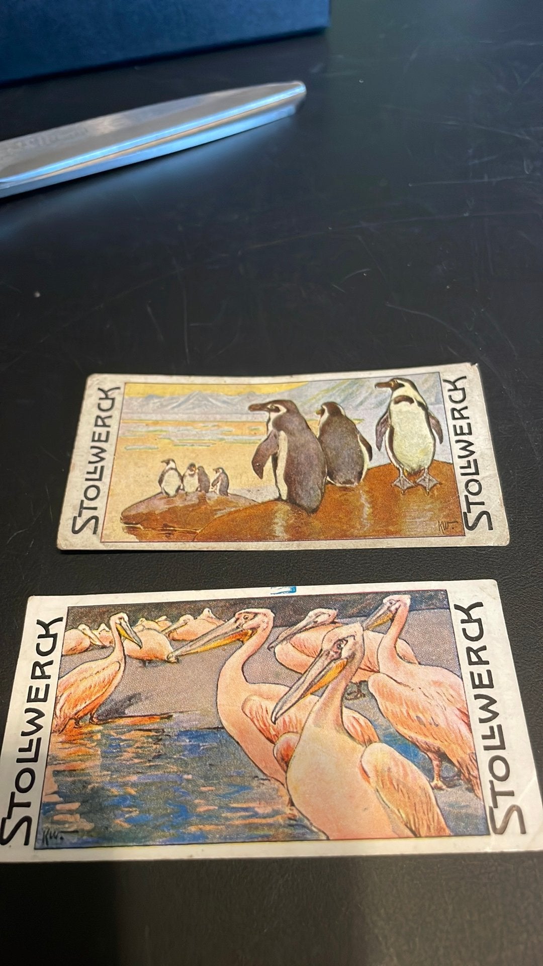 Stollwerck chromo groep 21(x3a), Verzamelen, Gebruikt, Ophalen of Verzenden, 1940 tot 1960, Dier