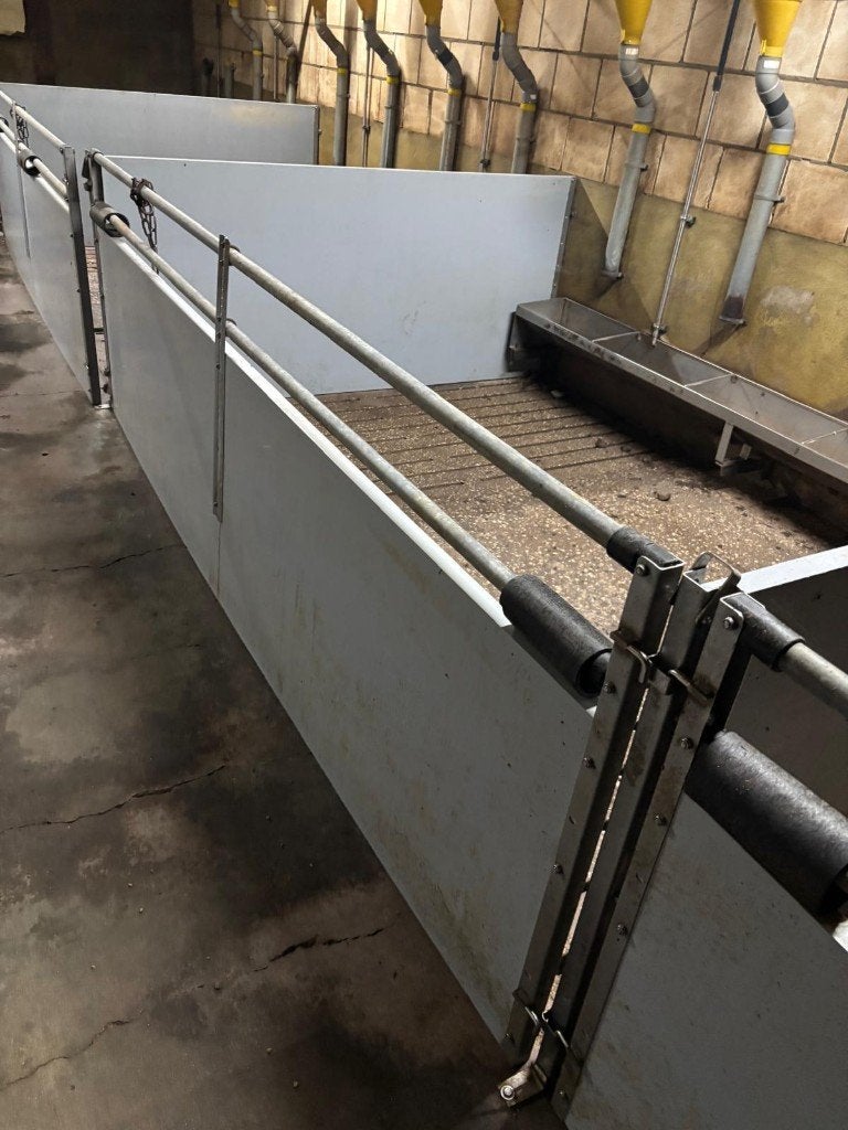 Hokinrichting voor opfok [486], Dieren en Toebehoren