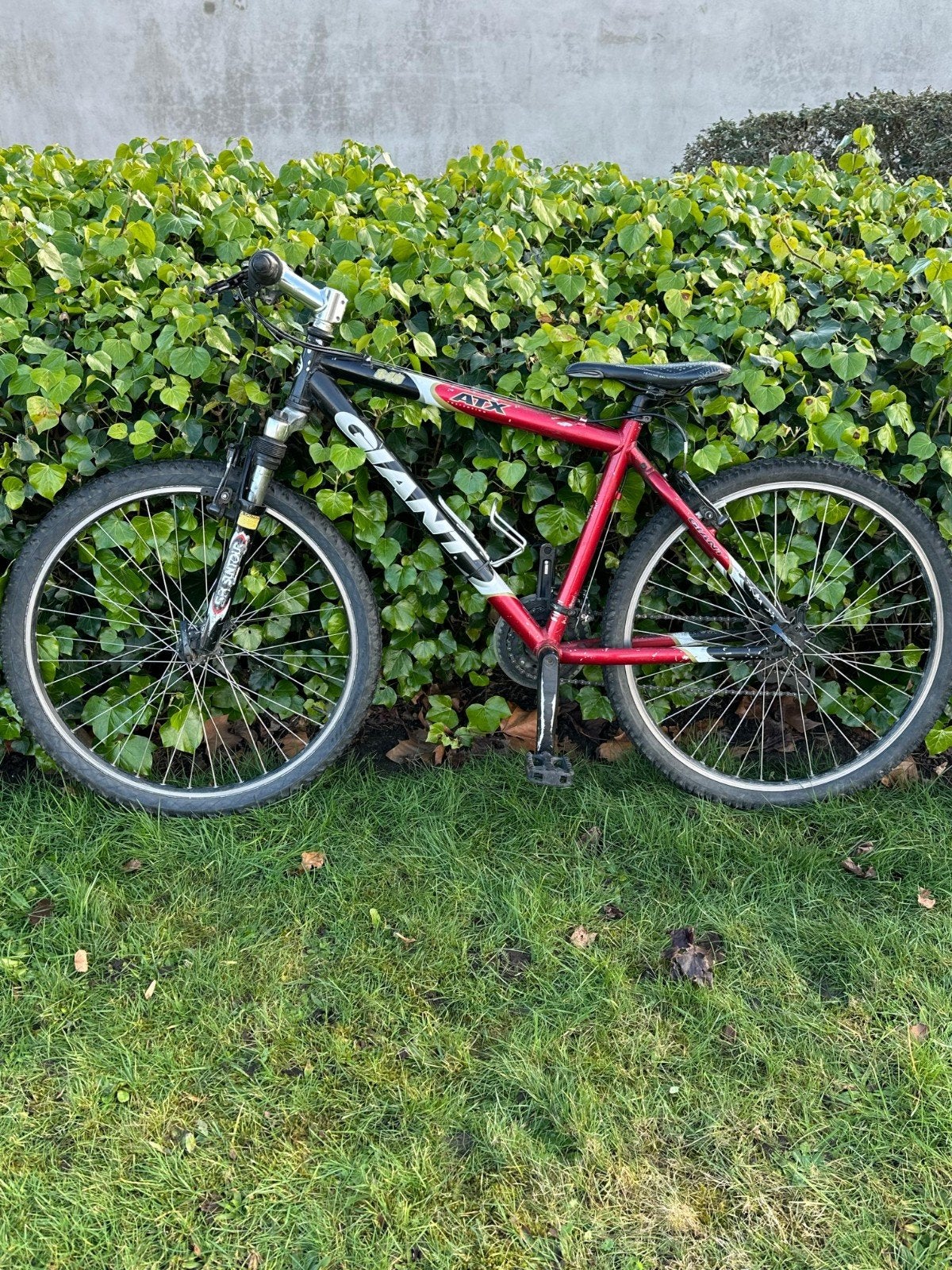 Fiets, Fietsen en Brommers, Fietsen | Mountainbikes en ATB, Ophalen, Giant, Zo goed als nieuw, Schijfrem