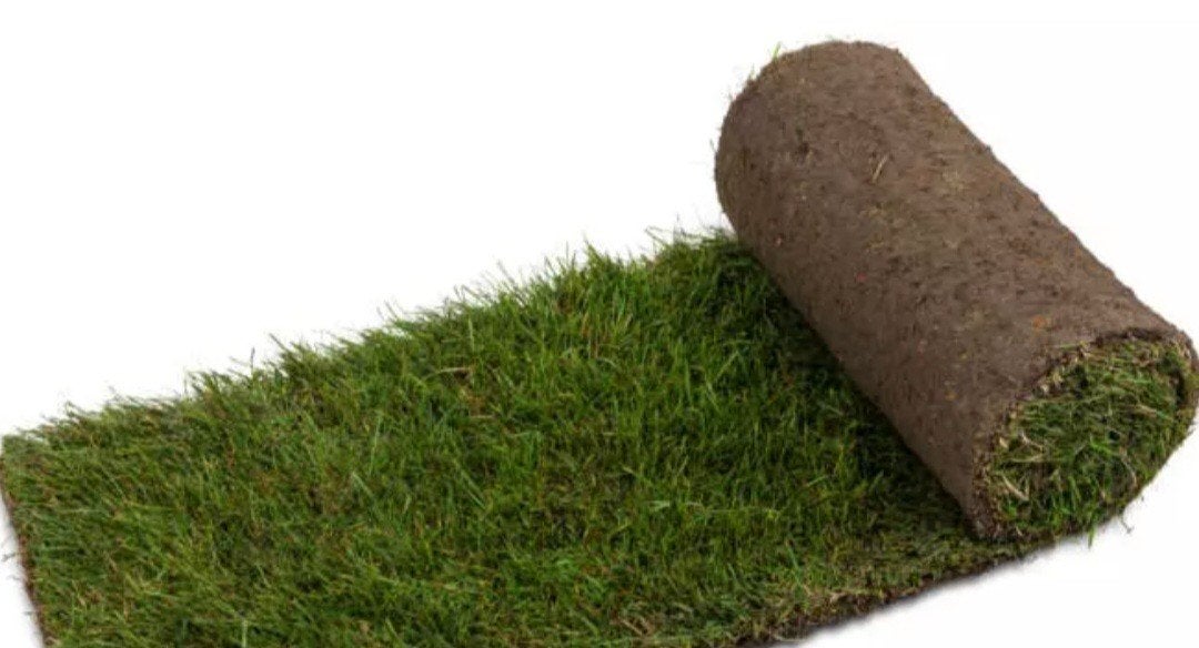 Ik zoek... grasmatten graszoden, Tuin en Terras, Gras en Kunstgras, Ophalen