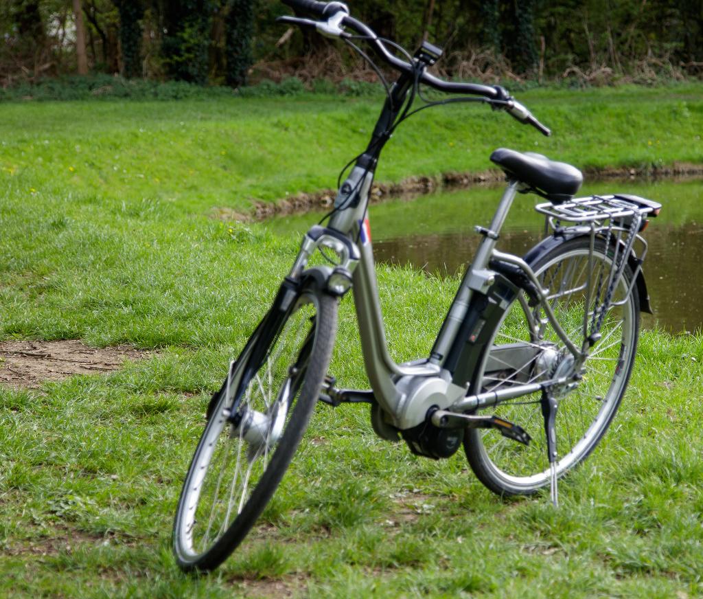 Vélo électrique Gazelle avec moteur central, 47 à 51 cm, Enlèvement, Utilisé, 30 à 50 km par batterie
