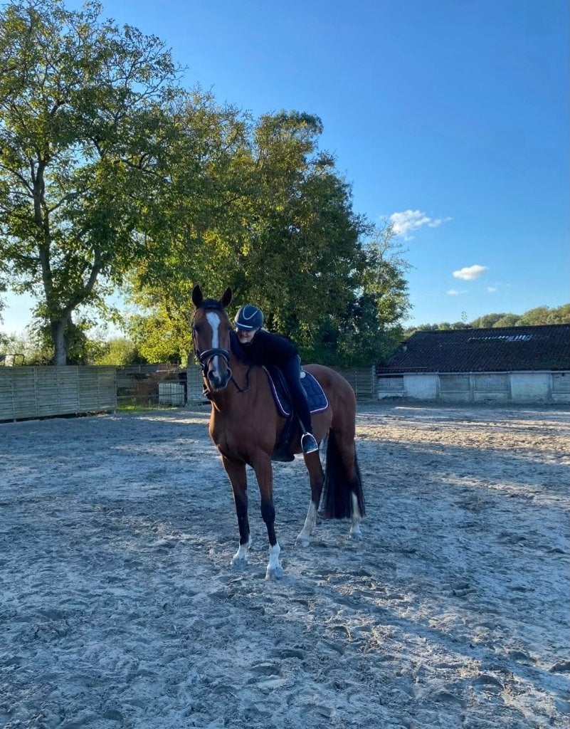 Lieve merrie, Animaux & Accessoires, Chevaux, 11 ans ou plus, Avec pedigree, M, 165 à 170 cm