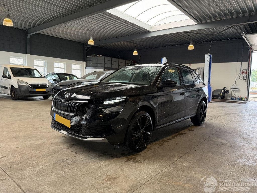 Skoda Kamiq 1.0 TSI Ambition, Infoline@skoda-auto.cz, Boîte manuelle, 999 cm³, Skoda