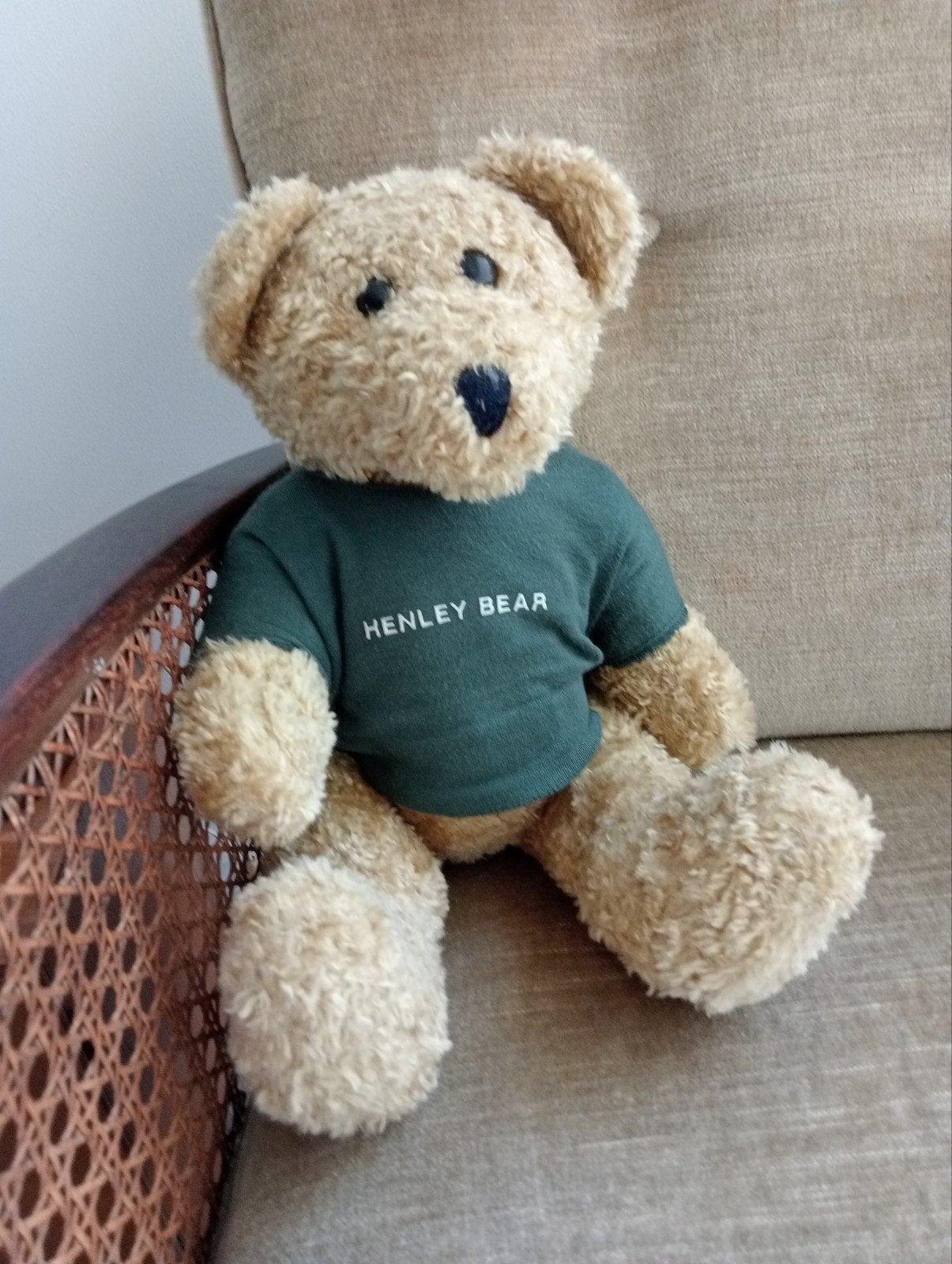 Beer, Verzamelen, Beren en Cherished Teddies, Ophalen, Gebruikt, Overige typen, Overige merken