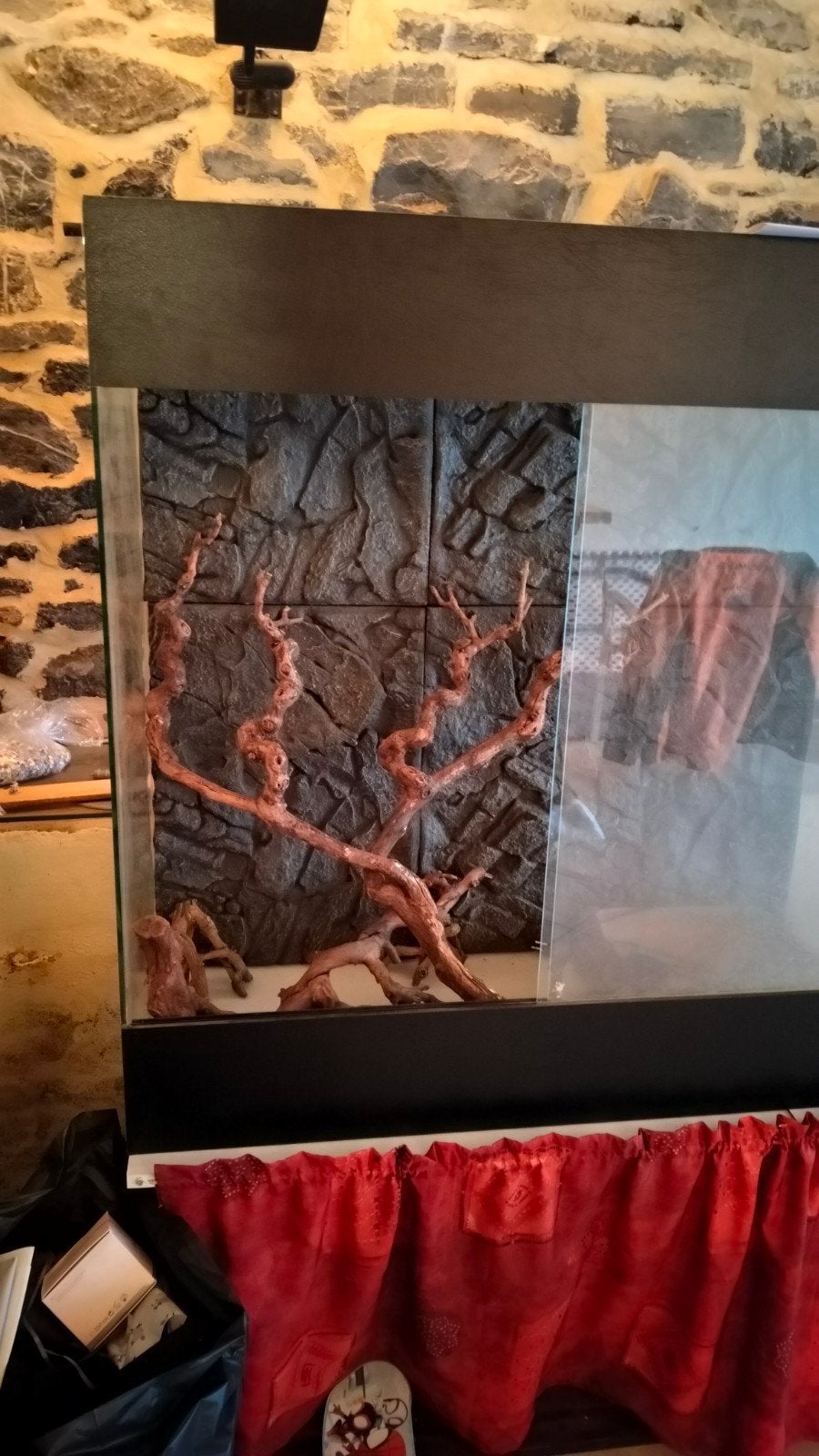 Terrarium, Animaux & Accessoires, Enlèvement