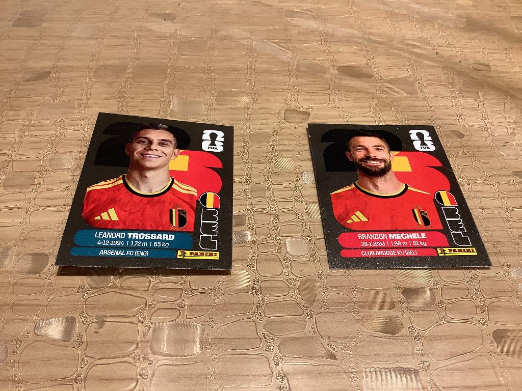 Recherche à Échange Stickers  Belgique argenté coupe 2026, Collections, Autocollants, Comme neuf, Sport, Enlèvement ou Envoi